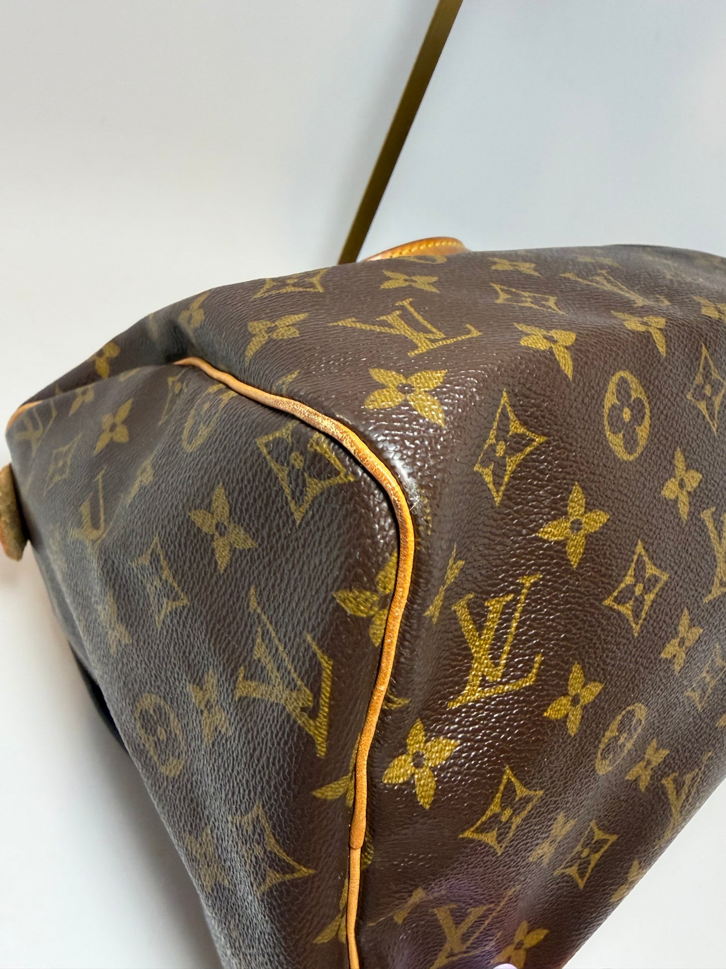 Louis Vuitton Speedy 30 monogram