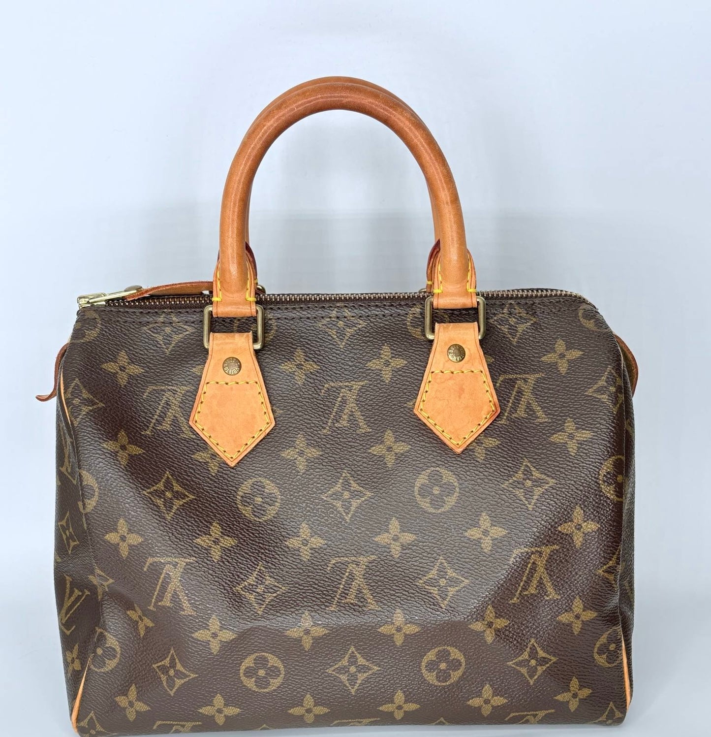 Louis Vuitton Speedy 25 for Michelle