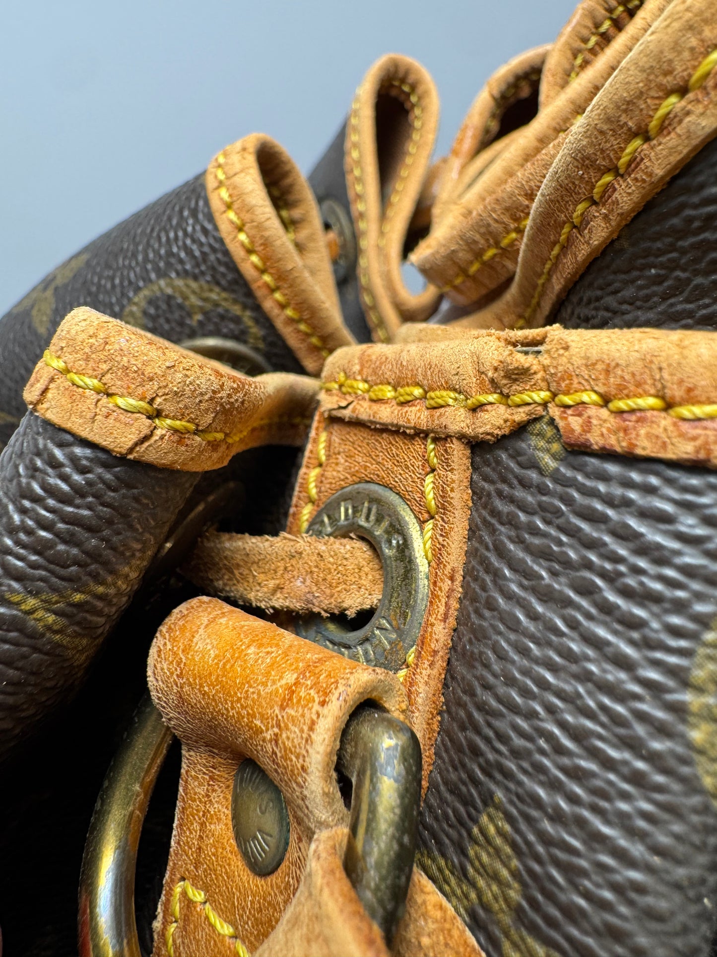 Louis Vuitton Noe GM Monogram Bucket Bag