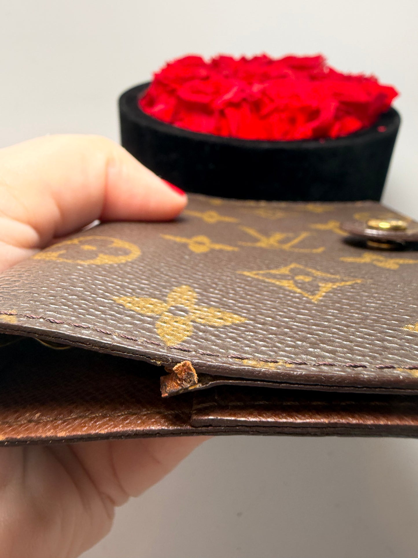 Louis Vuitton Agenda PM Planner/Passport Holder in Monogram