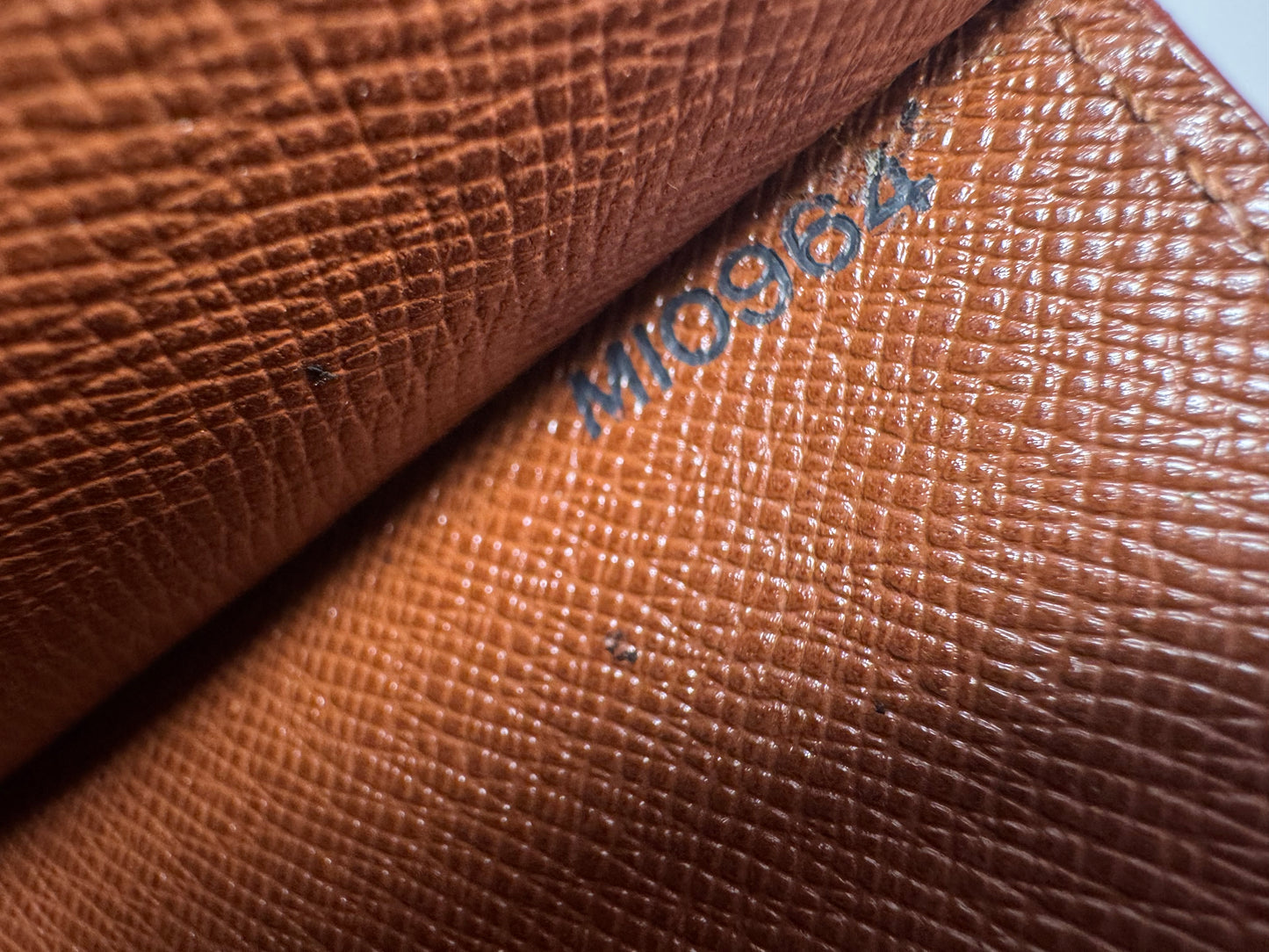 Louis Vuitton Epi Leather Serie Draggone Clutch/Wristlet