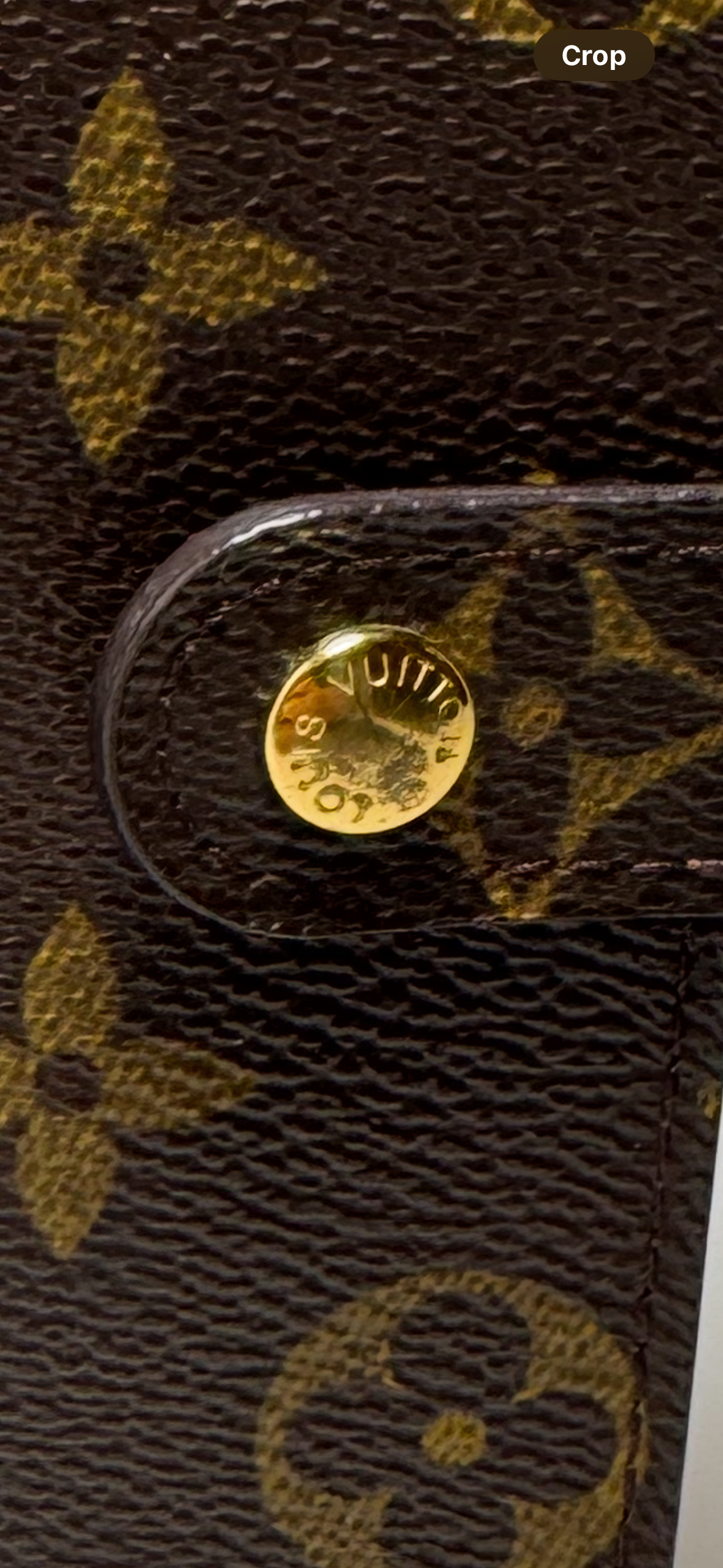 Louis Vuitton Agenda PM Monogram/Passport Cover Planner