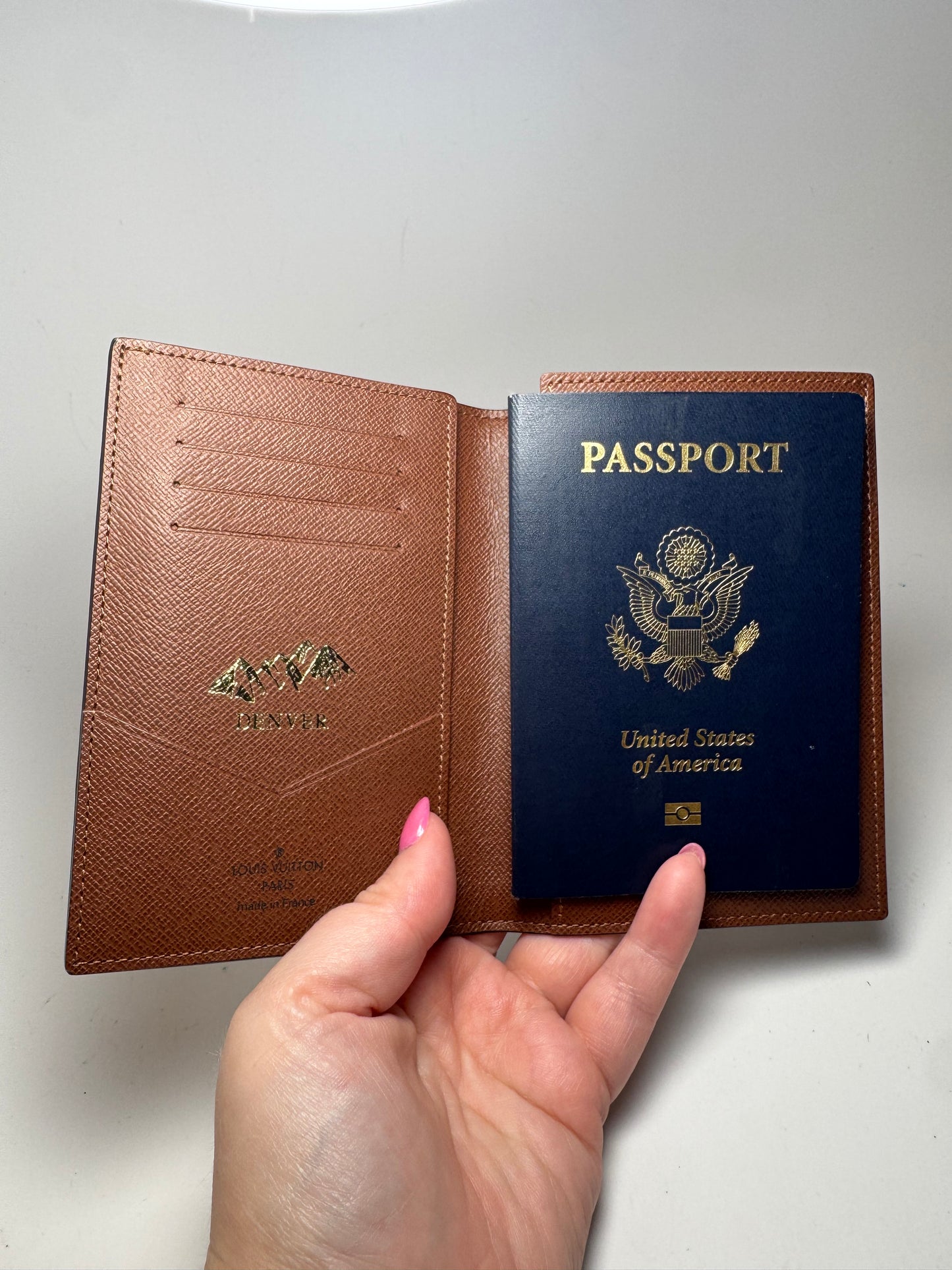 Louis Vuitton Passport Cover Monogram- Microchipped