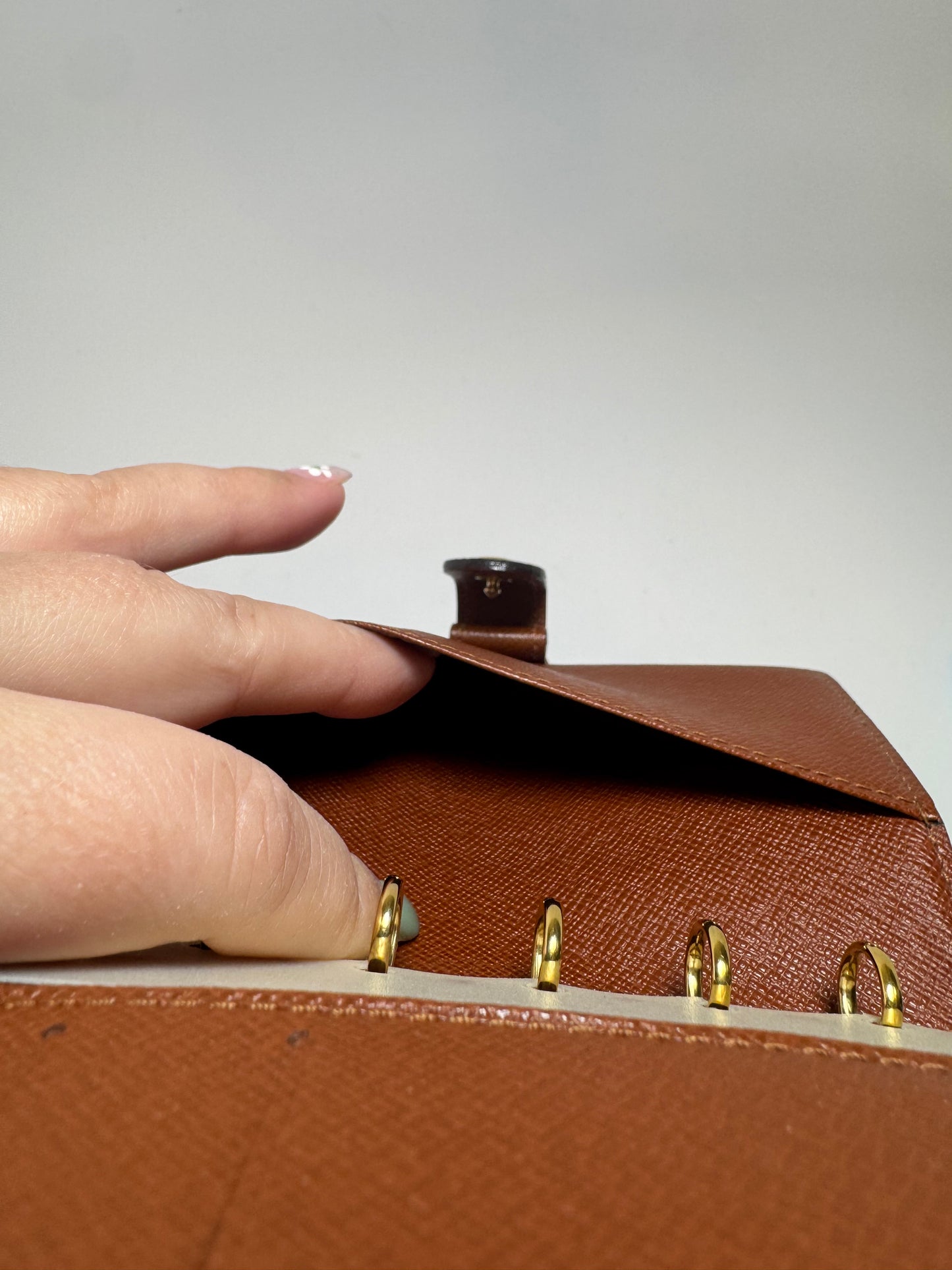 Louis Vuitton Agenda PM in Monogram/Planner/Passport Cover