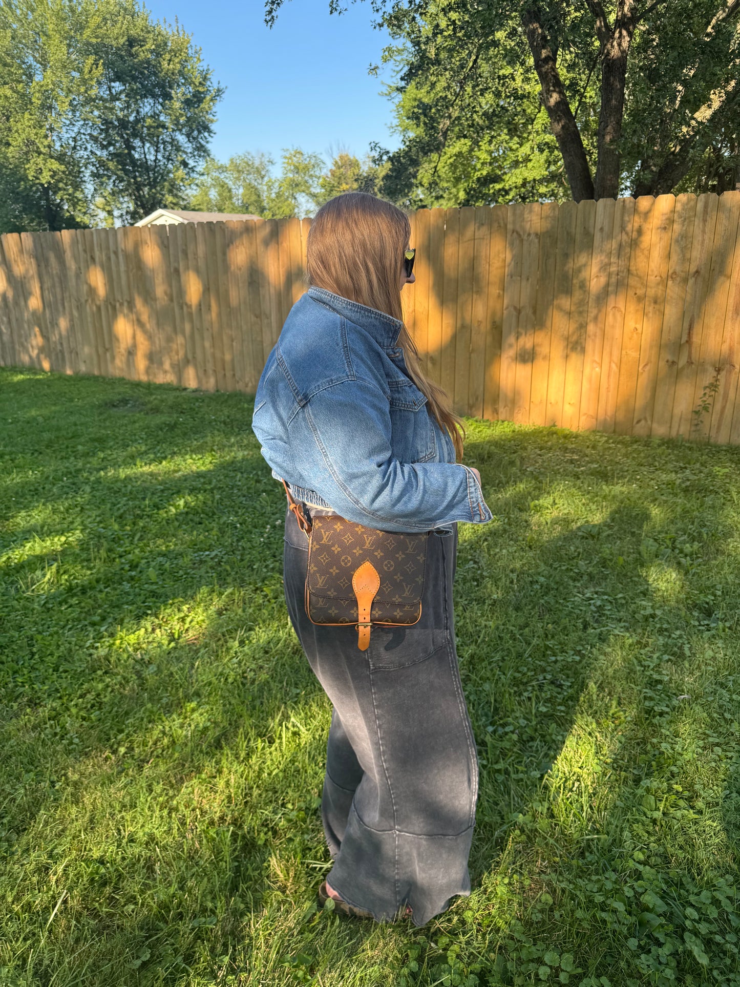 Louis Vuitton Cartouchière MM Monogram Crossbody