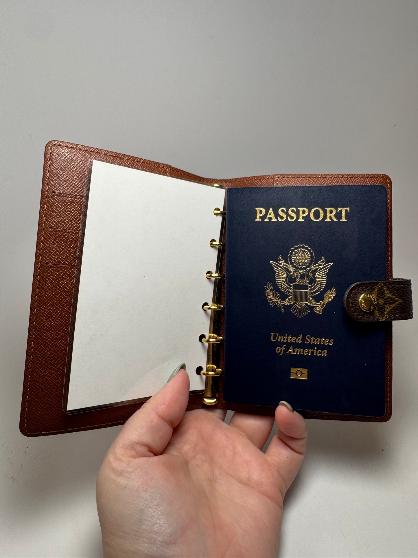 Louis Vuitton Agenda PM Monogram/Passport Cover Planner