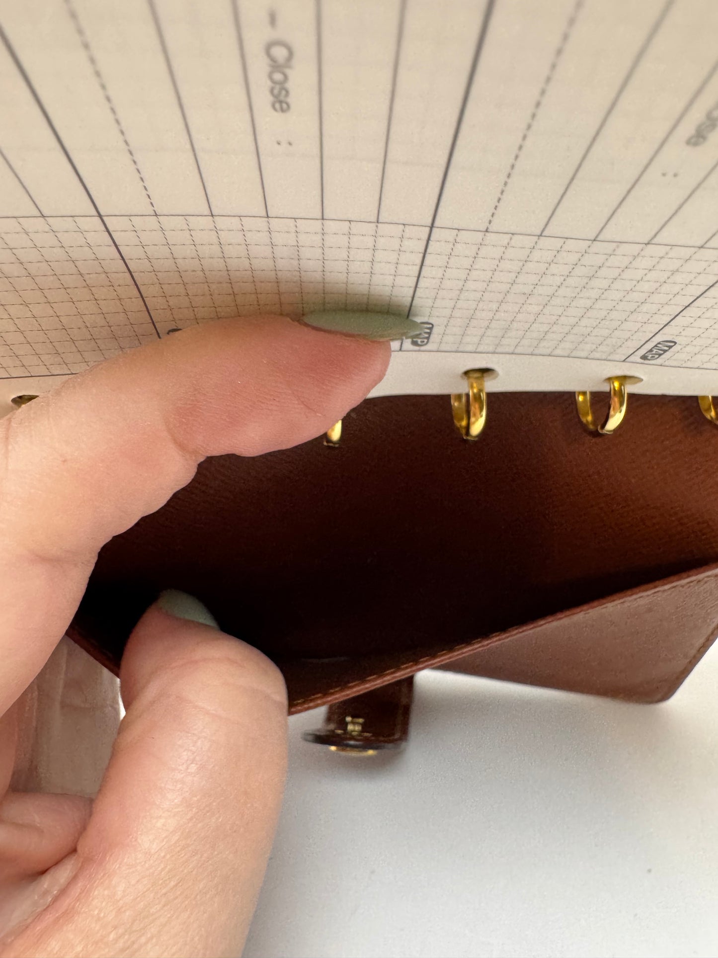 Louis Vuitton Agenda PM Monogram Planner / Passport Holder