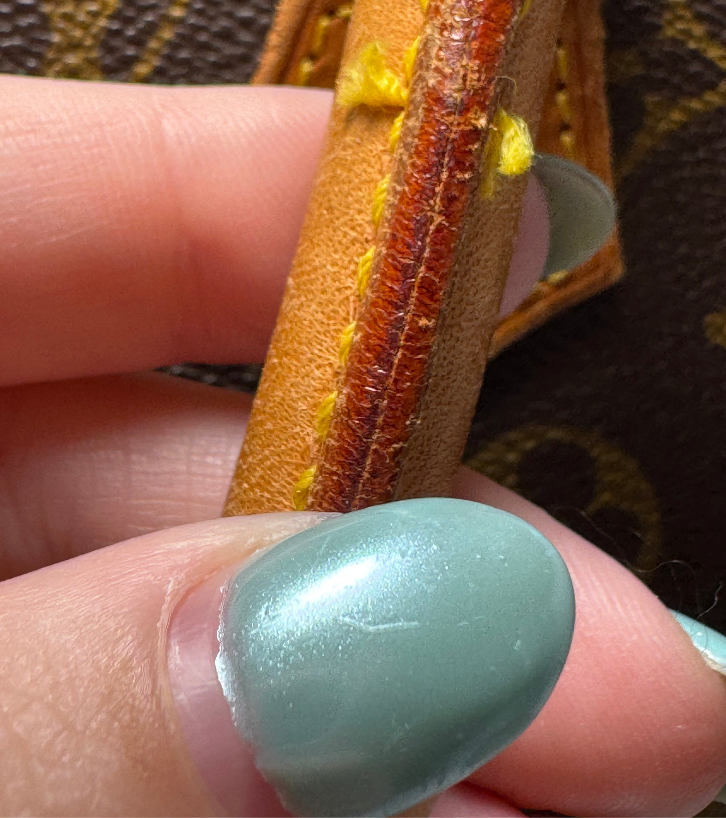Louis Vuitton Ellipse PM Monogram Bag
