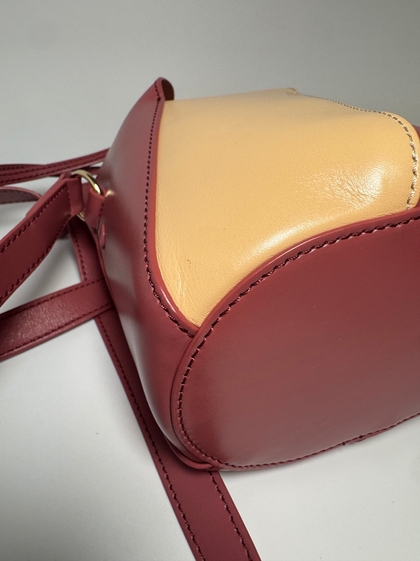 Chloé Tulip Mini Bucket Bag Pink (Faded Rose) & Cream Leather Luxury Bag