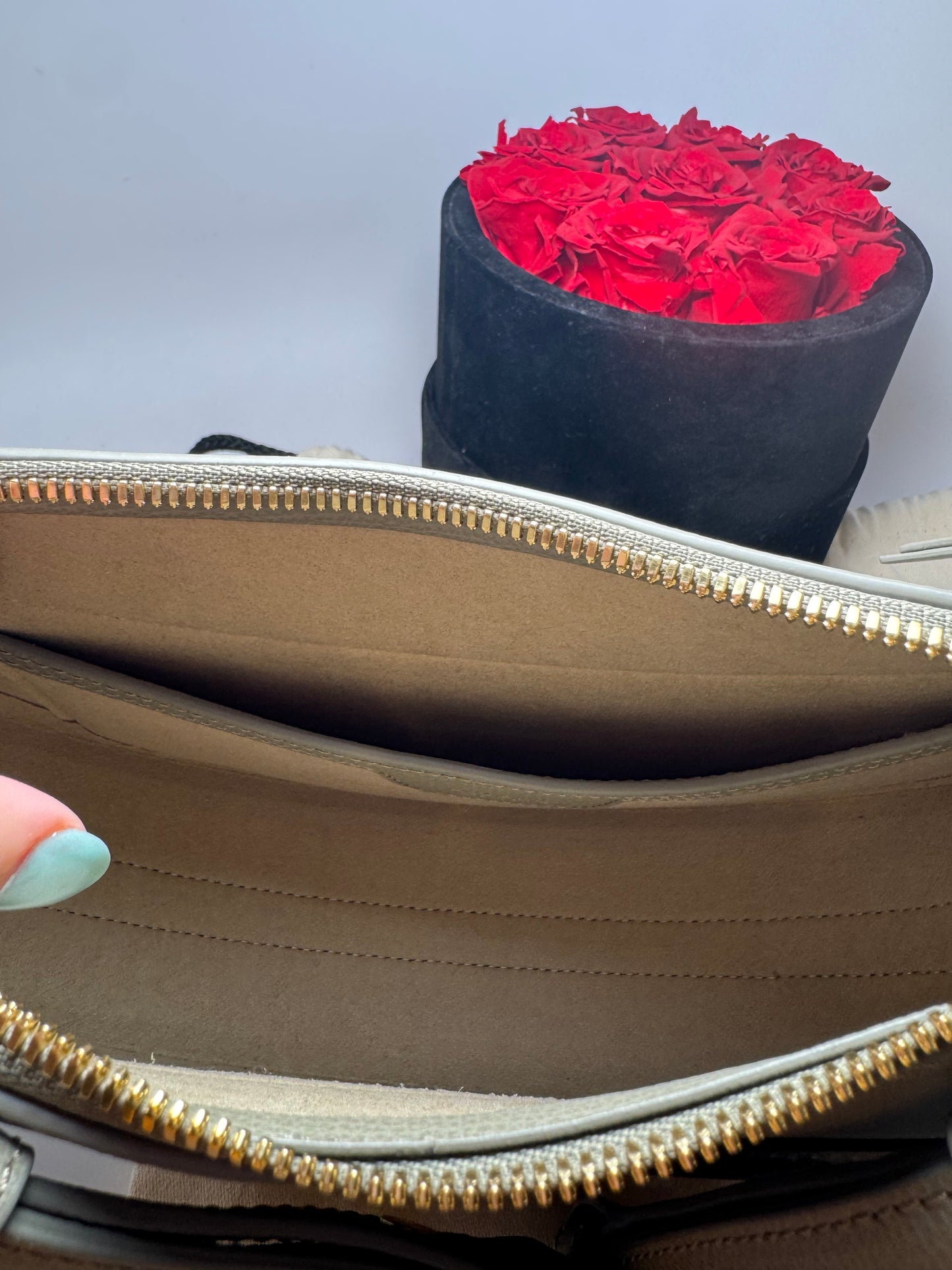 Polène Numero Dix Textured Taupe Crossbody/Shoulder Bag