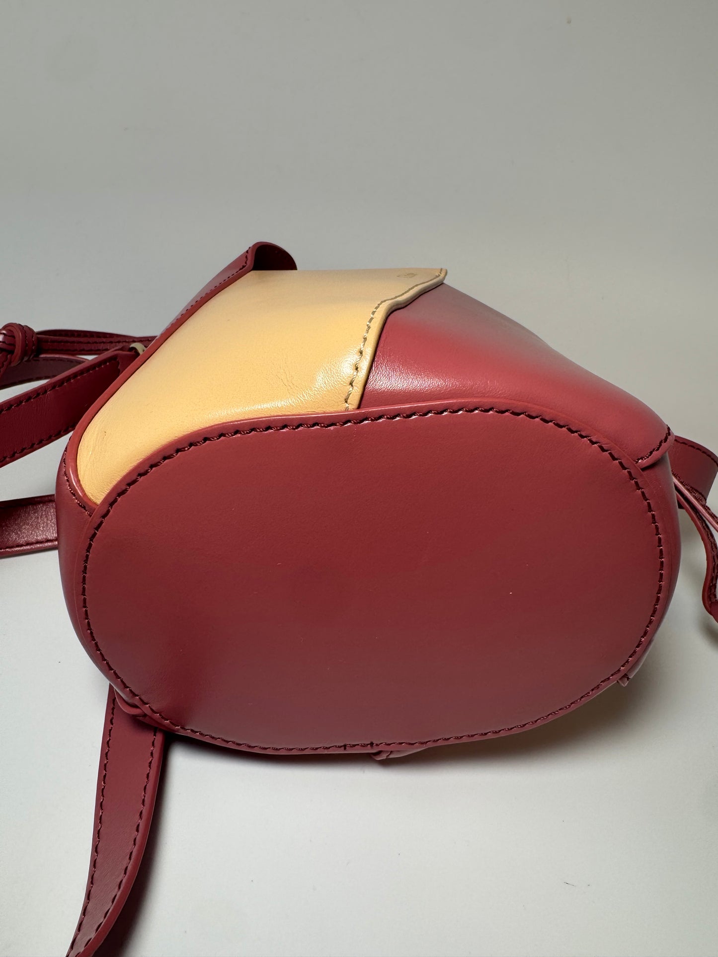 Chloé Tulip Mini Bucket Bag Pink (Faded Rose) & Cream Leather Luxury Bag