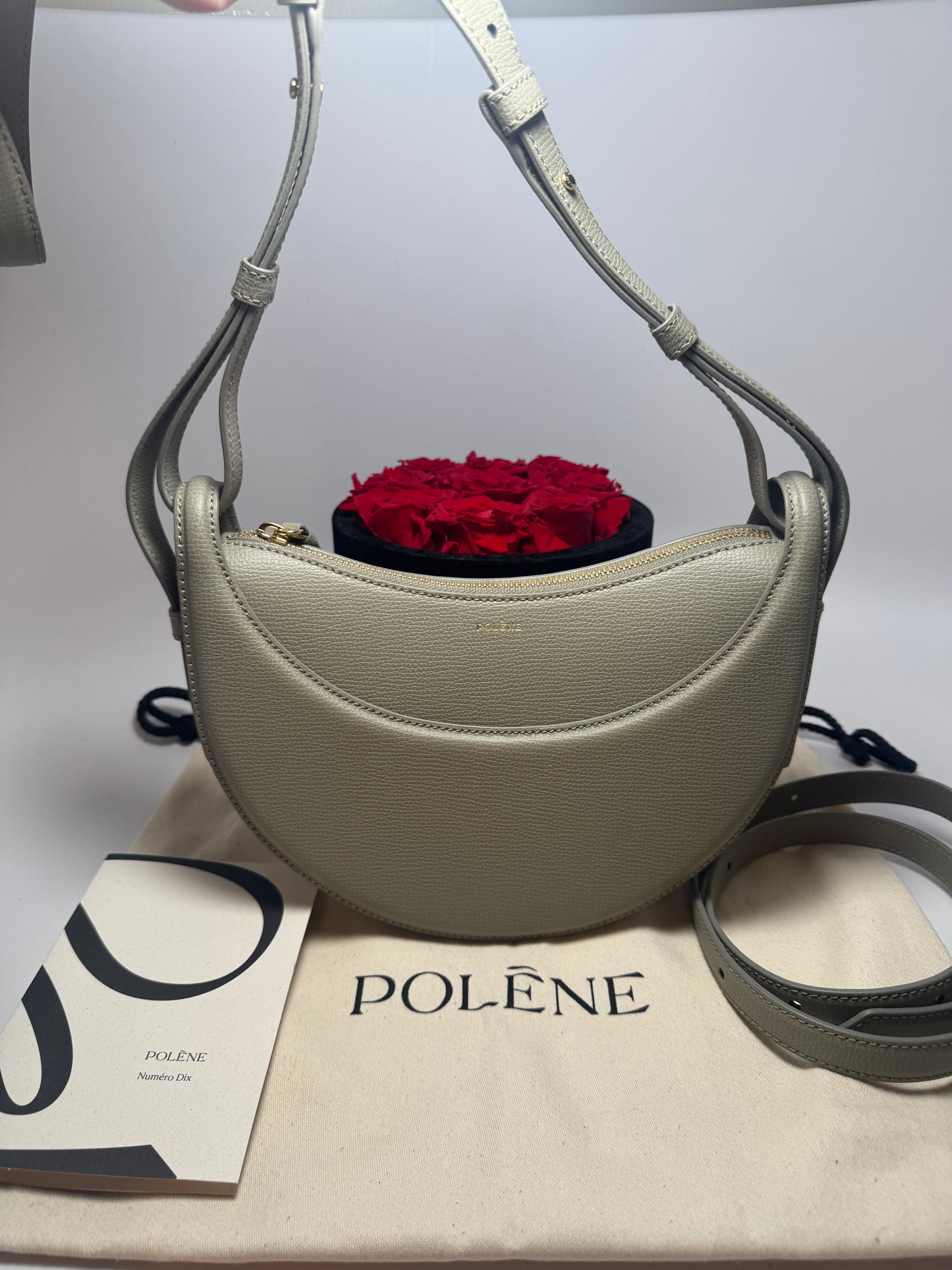 Polène Numero Dix Textured Taupe Crossbody/Shoulder Bag