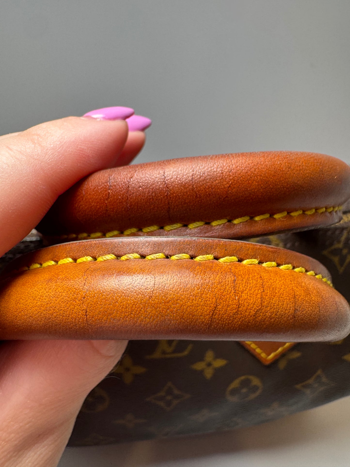 Louis Vuitton Speedy 25 Monogram Satchel