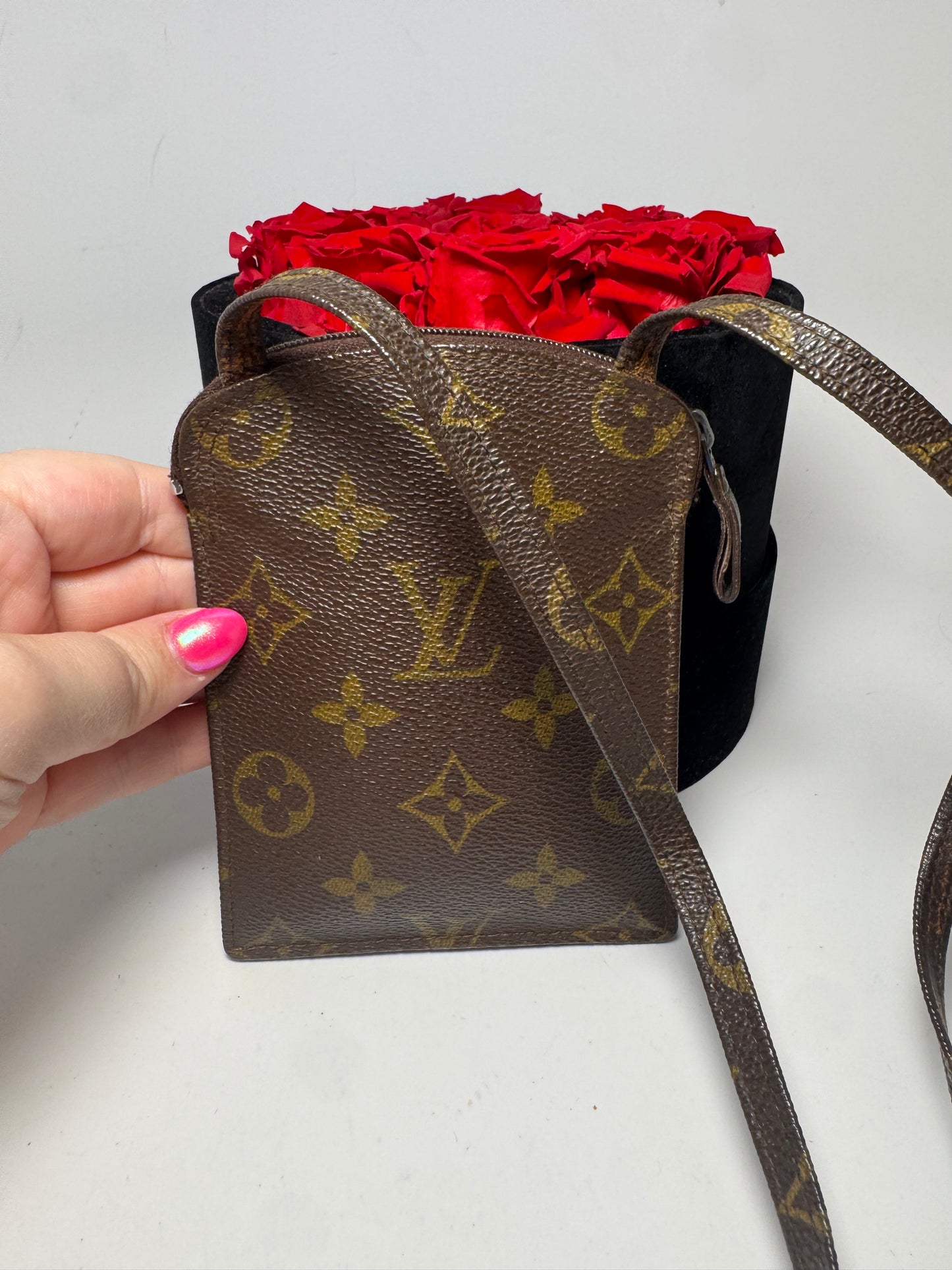 Louis Vuitton Monogram Pochette Secret Crossbody/Passport Holder Travel Bag