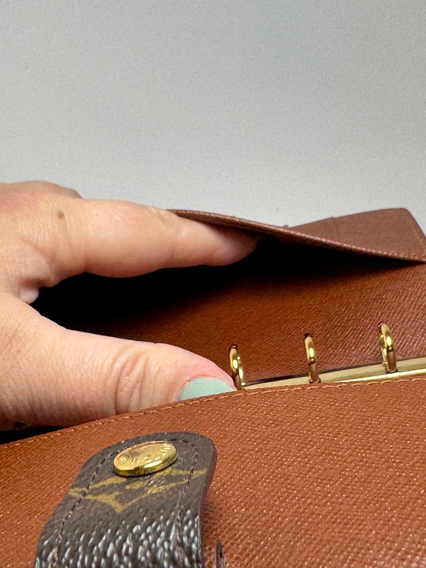 Louis Vuitton Agenda PM Monogram/Passport Cover Planner