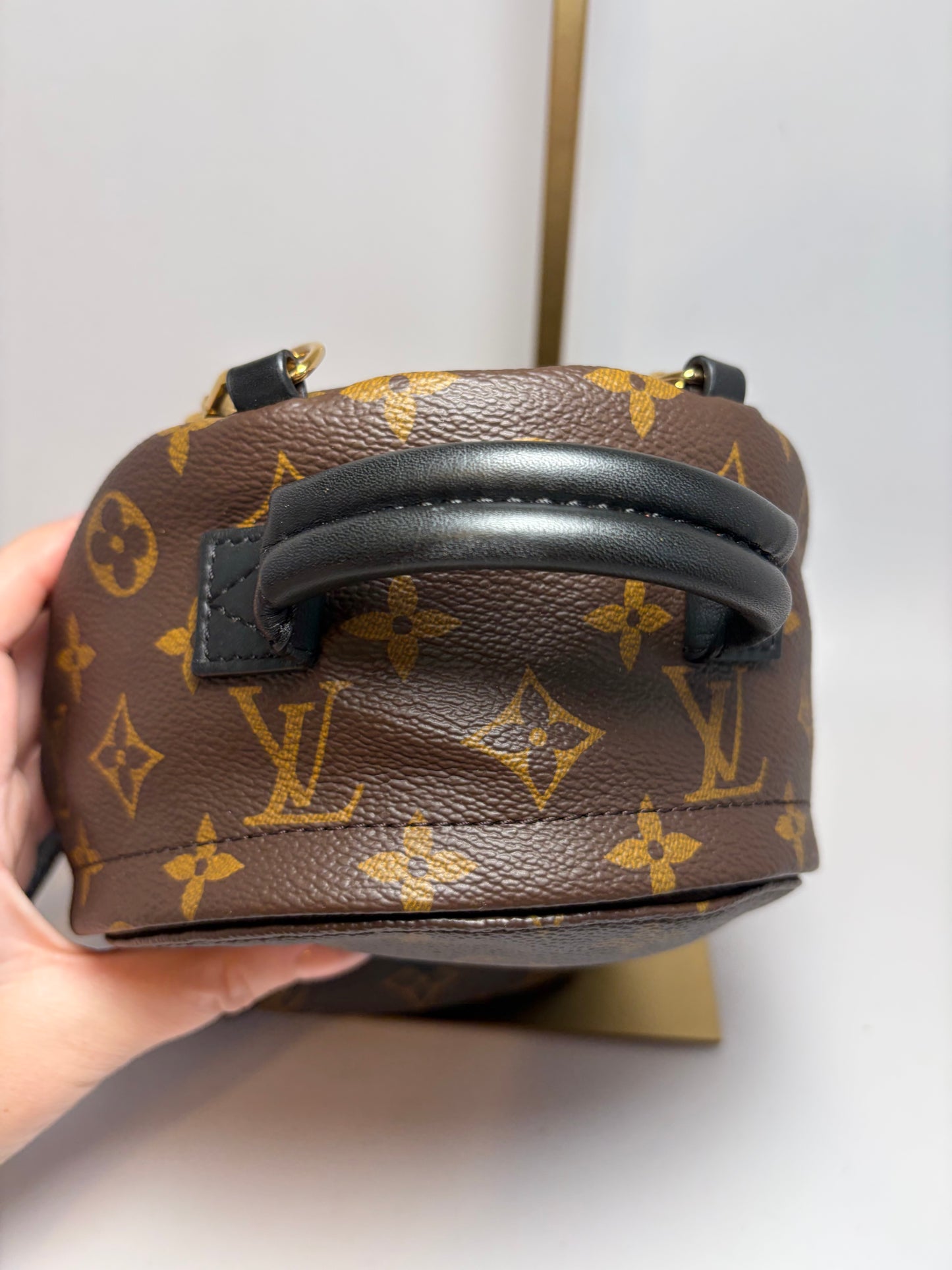 Louis Vuitton Palm Springs Mini Monogram Backpack & Crossbody w/COA