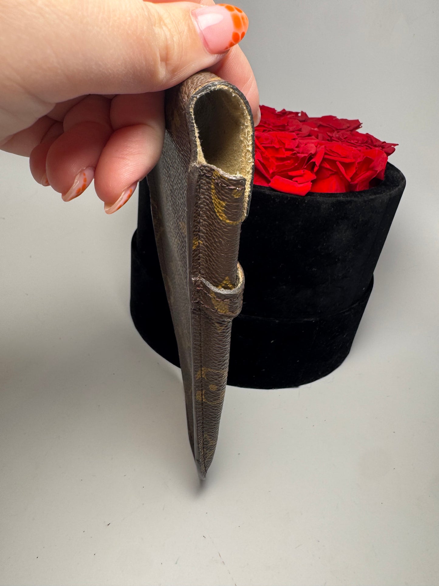 Louis Vuitton Glasses/Sunglasses Case Monogram