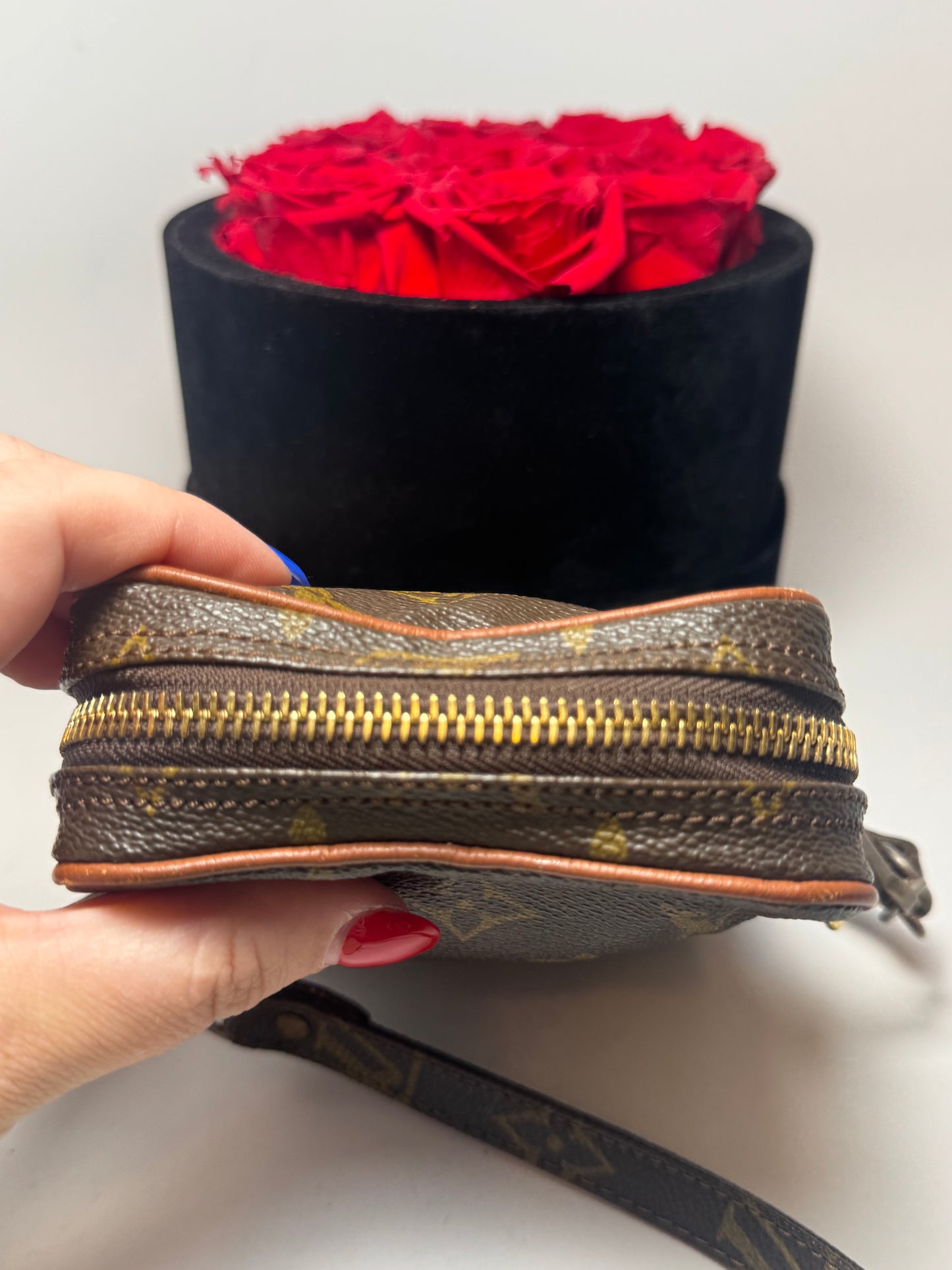 Louis Vuitton Mini Danube shoulder bag/belt bag
