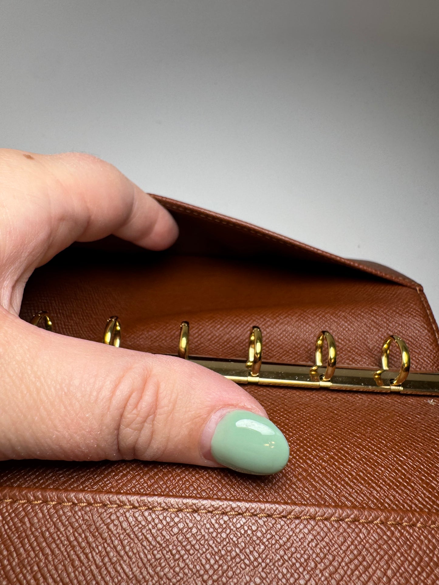 Louis Vuitton Agenda PM / Passport Holder in Monogram