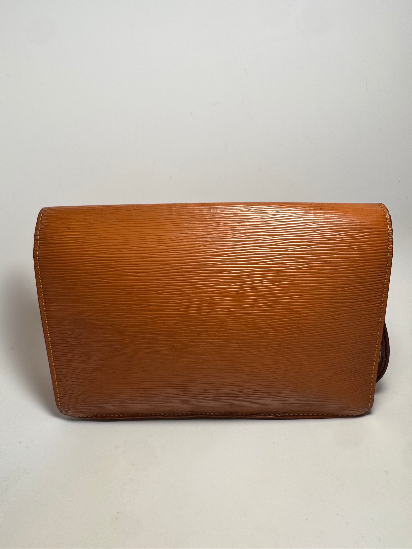 Louis Vuitton Epi Leather Serie Draggone Clutch/Wristlet