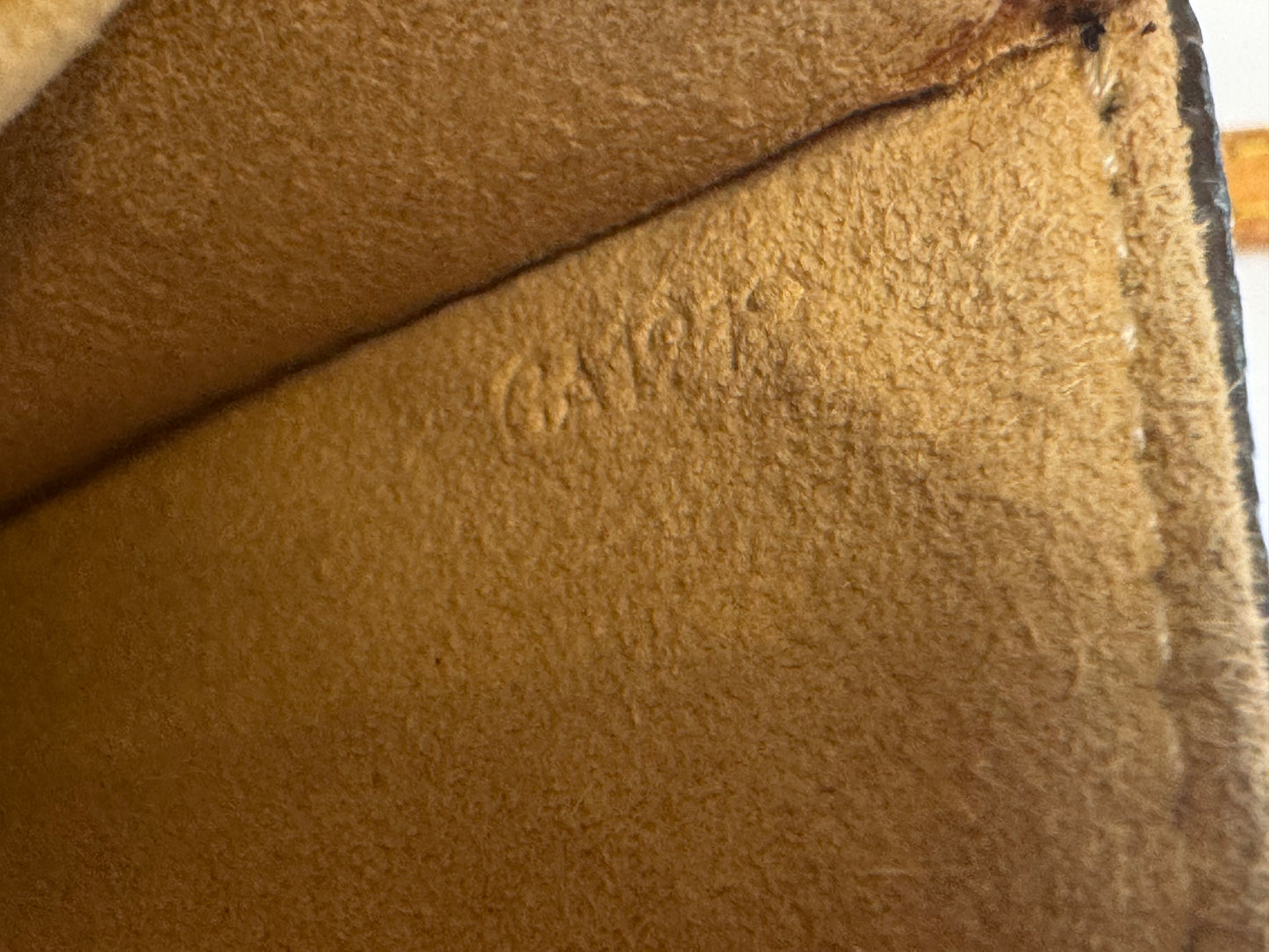 Louis Vuitton Twin Pochette GM in Monogram Crossbody