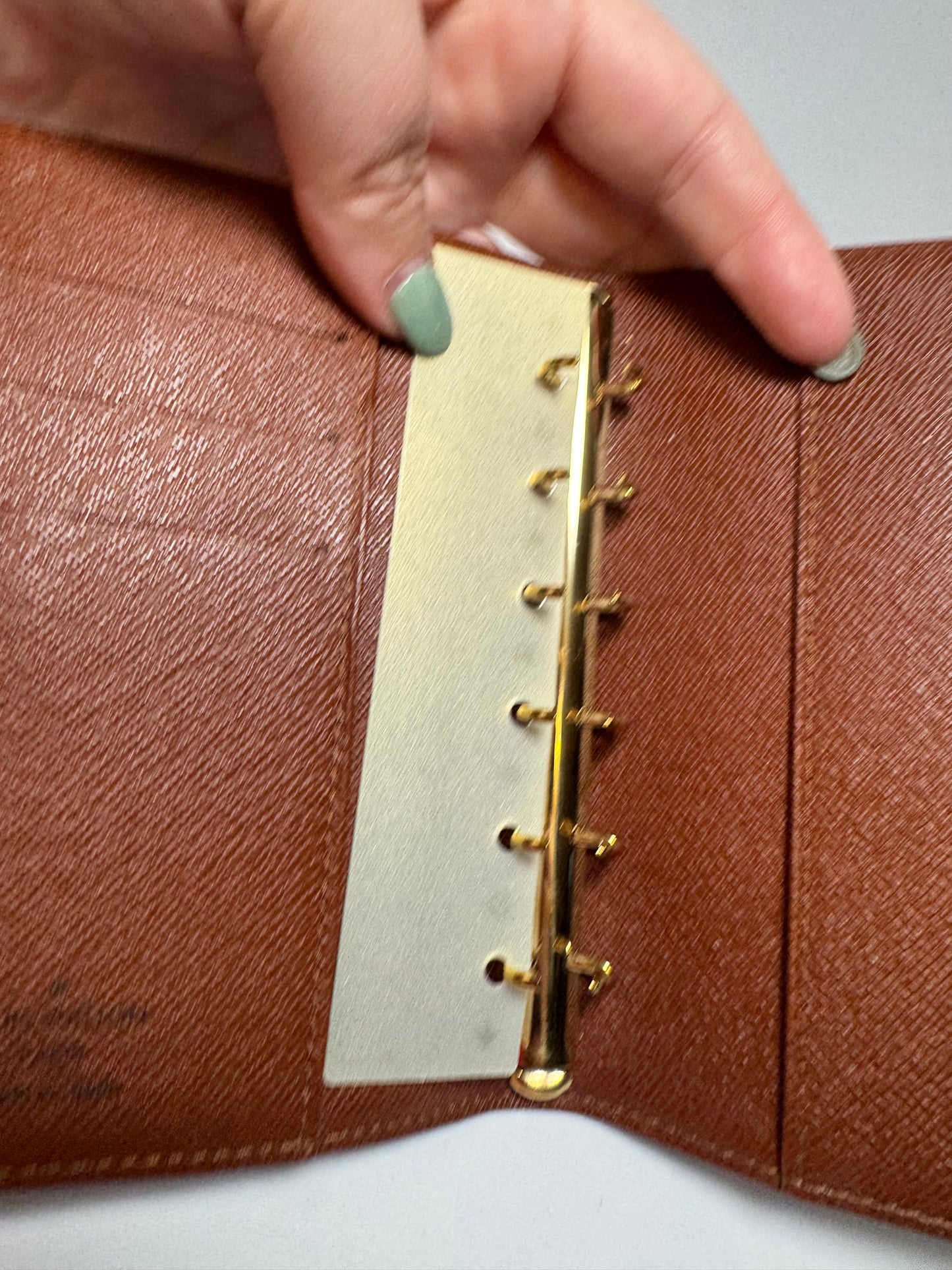 Louis Vuitton Agenda PM in Monogram/Planner/Passport Cover
