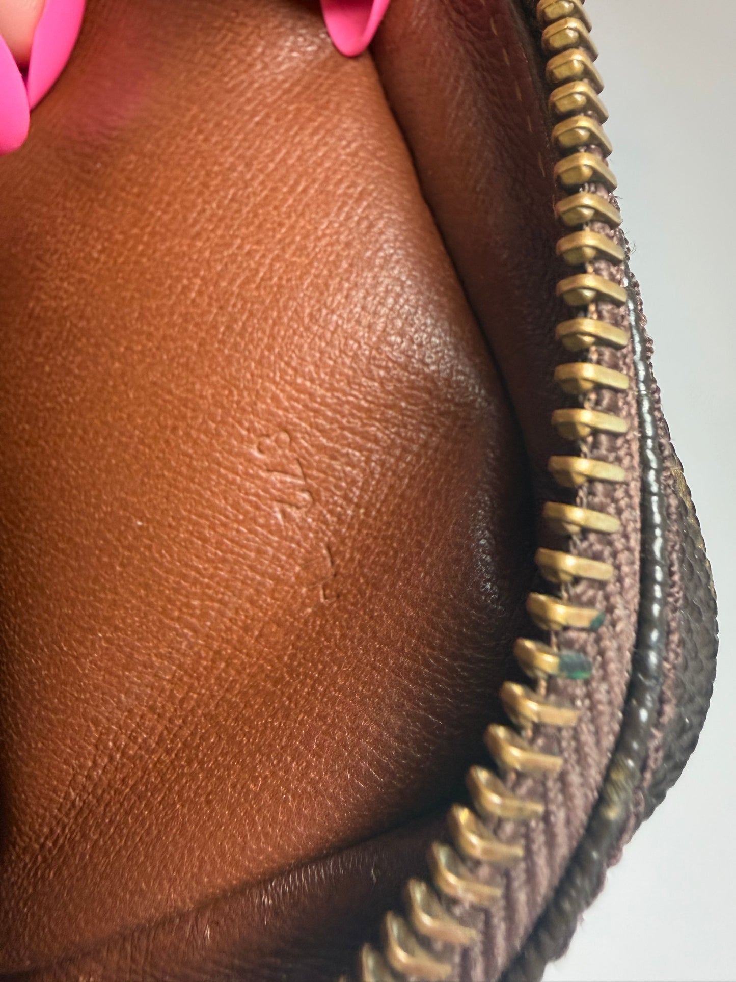 Louis Vuitton Mini Amazon Crossbody Monogram