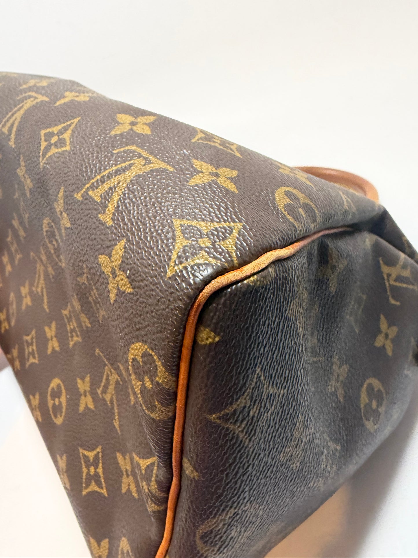 Louis Vuitton Speedy 25 Monogram