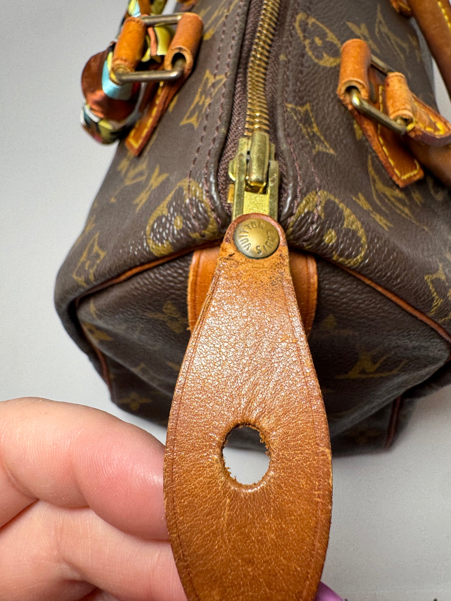 Louis Vuitton Speedy 25 Monogram Satchel