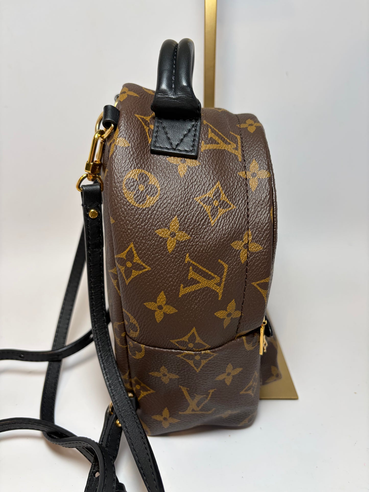 Louis Vuitton Palm Springs Mini Monogram Backpack & Crossbody w/COA