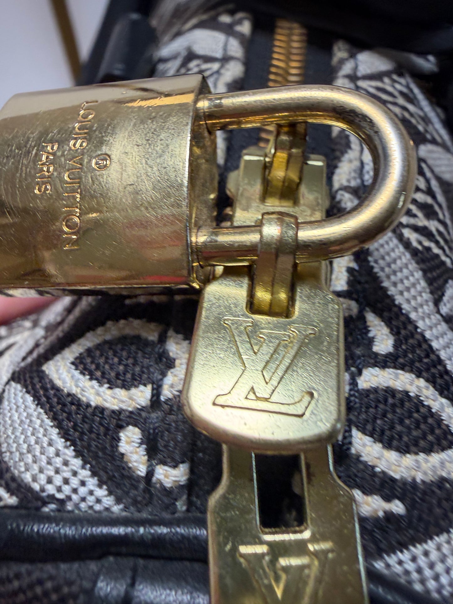 Louis Vuitton Speedy 25 Bandoulière 1854 Monogram Jacquard