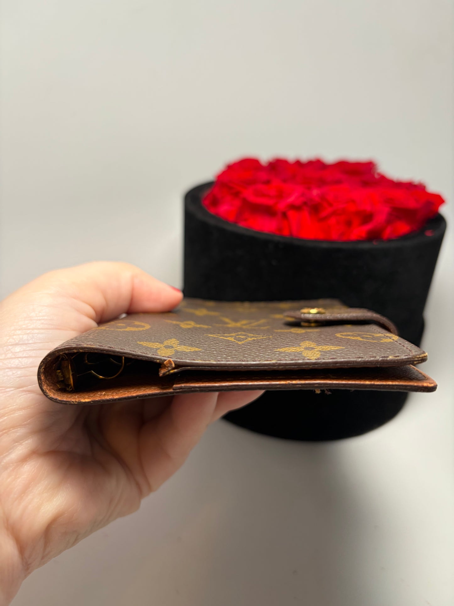 Louis Vuitton Agenda PM Planner/Passport Holder in Monogram