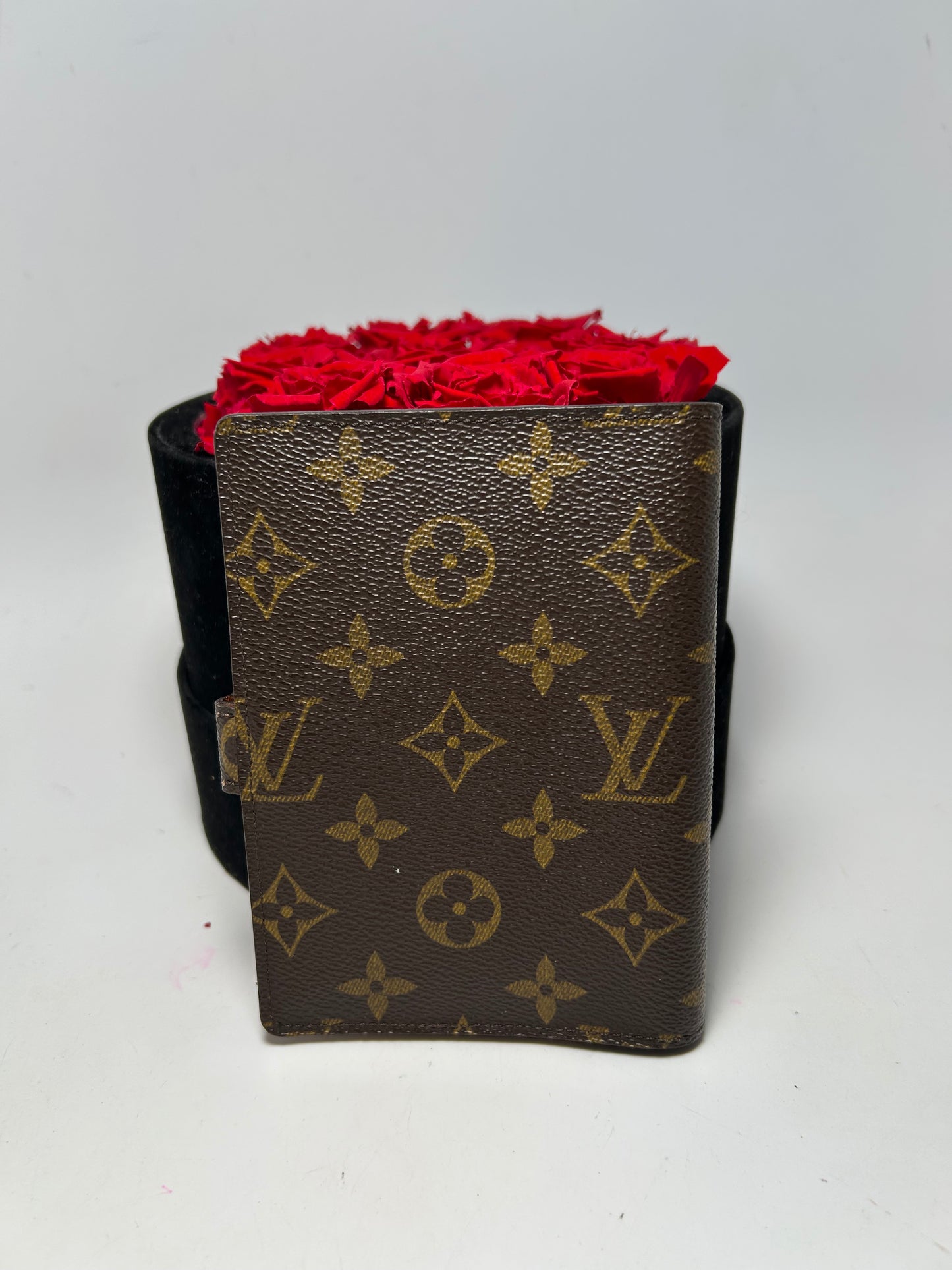 Louis Vuitton Agenda PM Monogram Planner/Passport Holder
