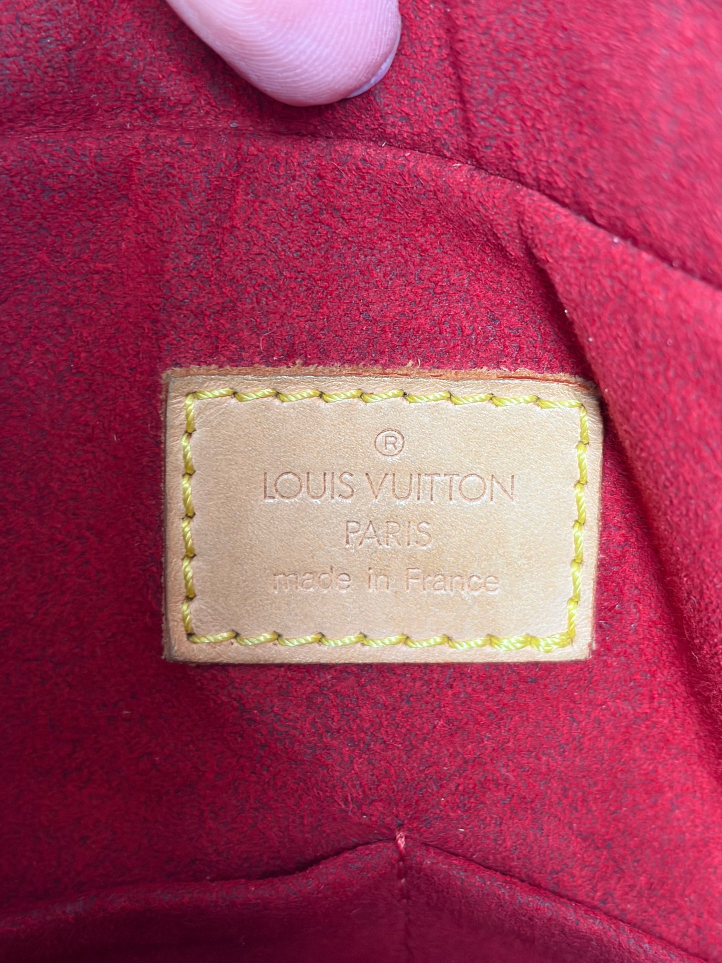 Louis Vuitton Monogram Multipli Cité Bag