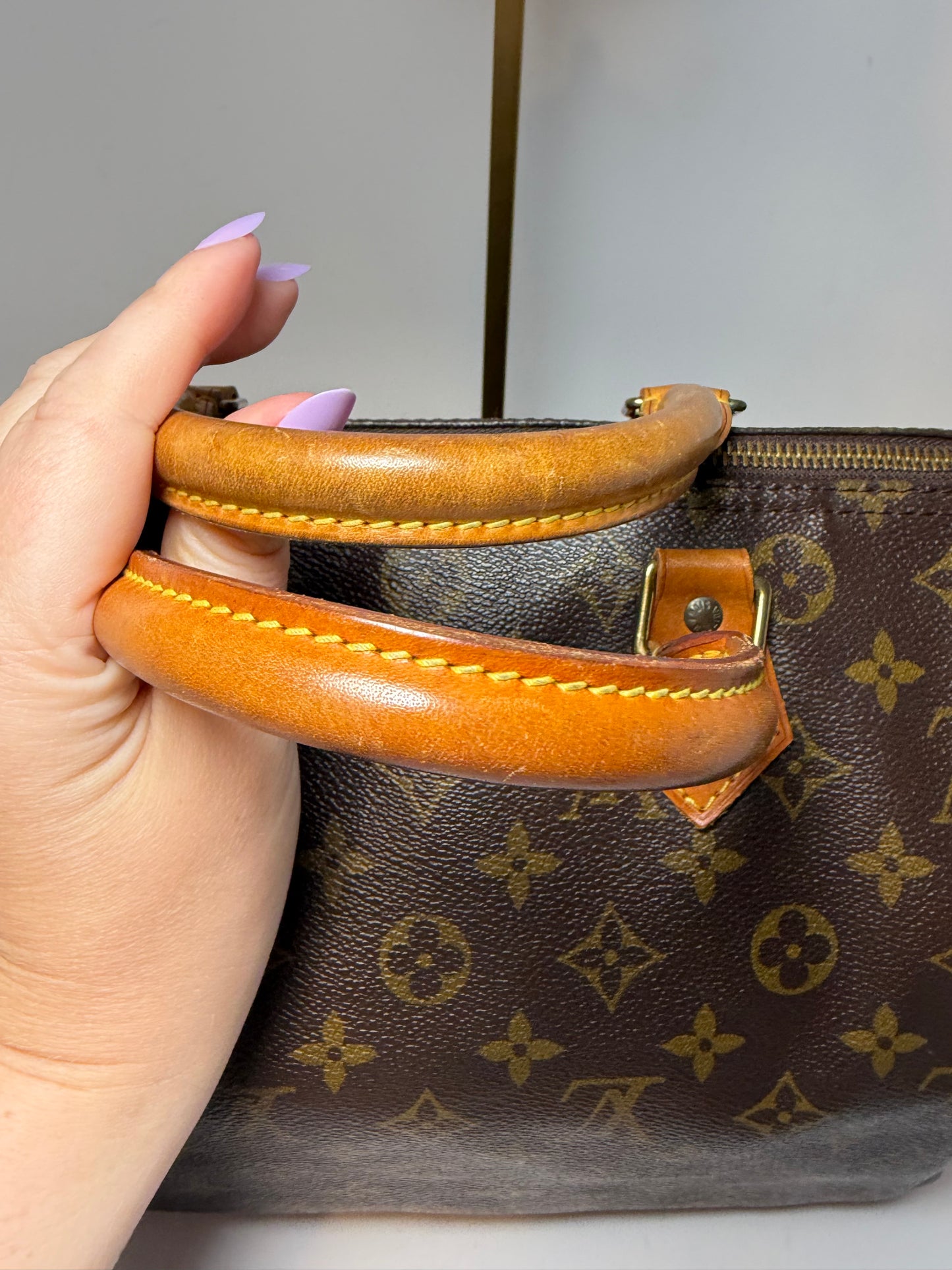 Louis Vuitton Speedy 30 monogram