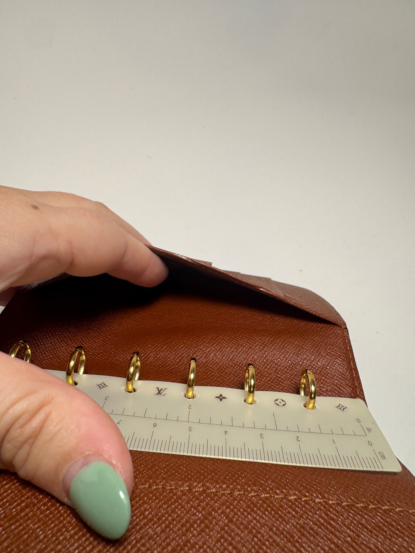 Louis Vuitton Agenda PM in Monogram/Planner/Passport Cover