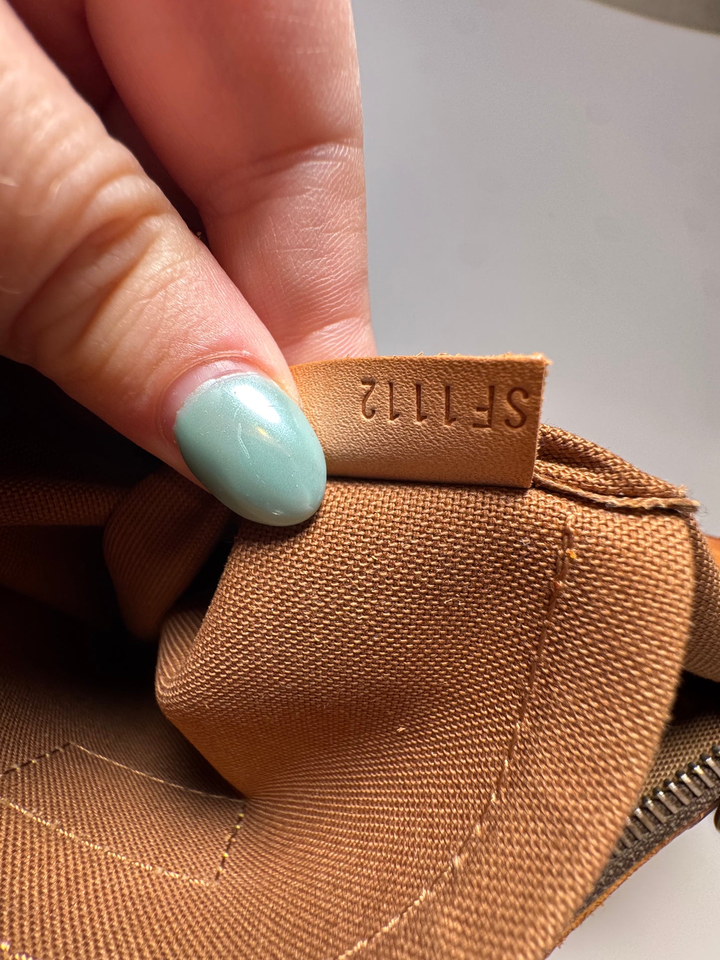 Louis Vuitton Odeon PM Crossbody Monogram