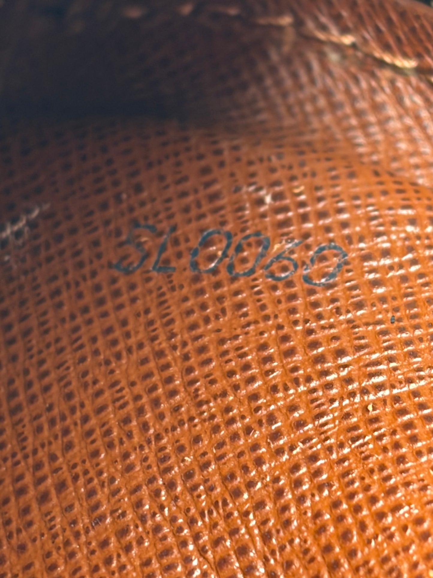 Louis Vuitton Danube Monogram Crossbody