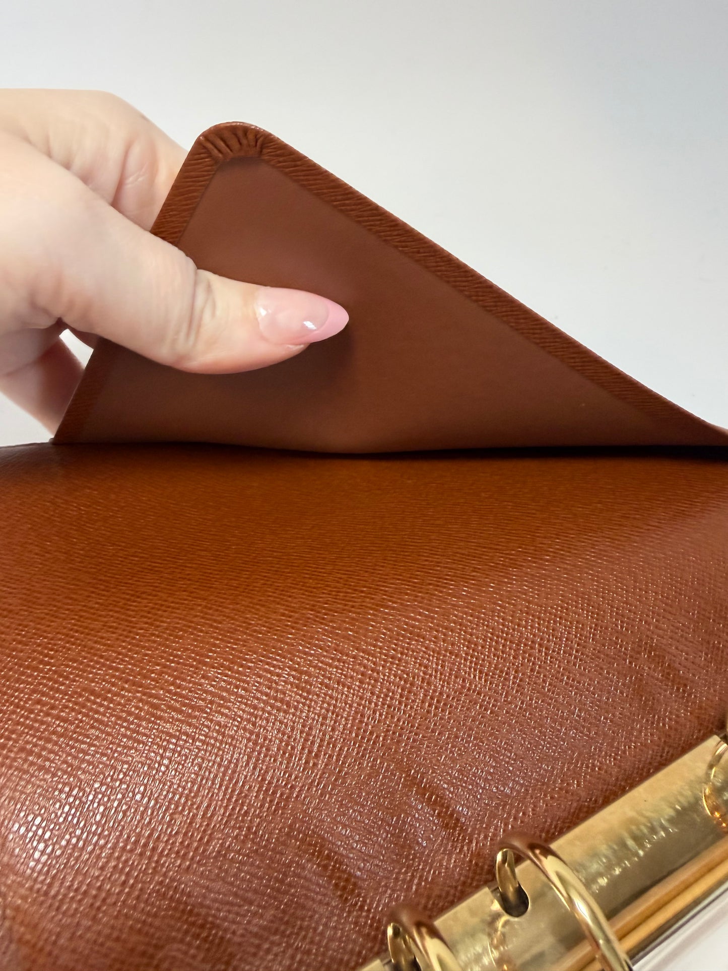 Louis Vuitton Medium Ring Agenda MM Monogram