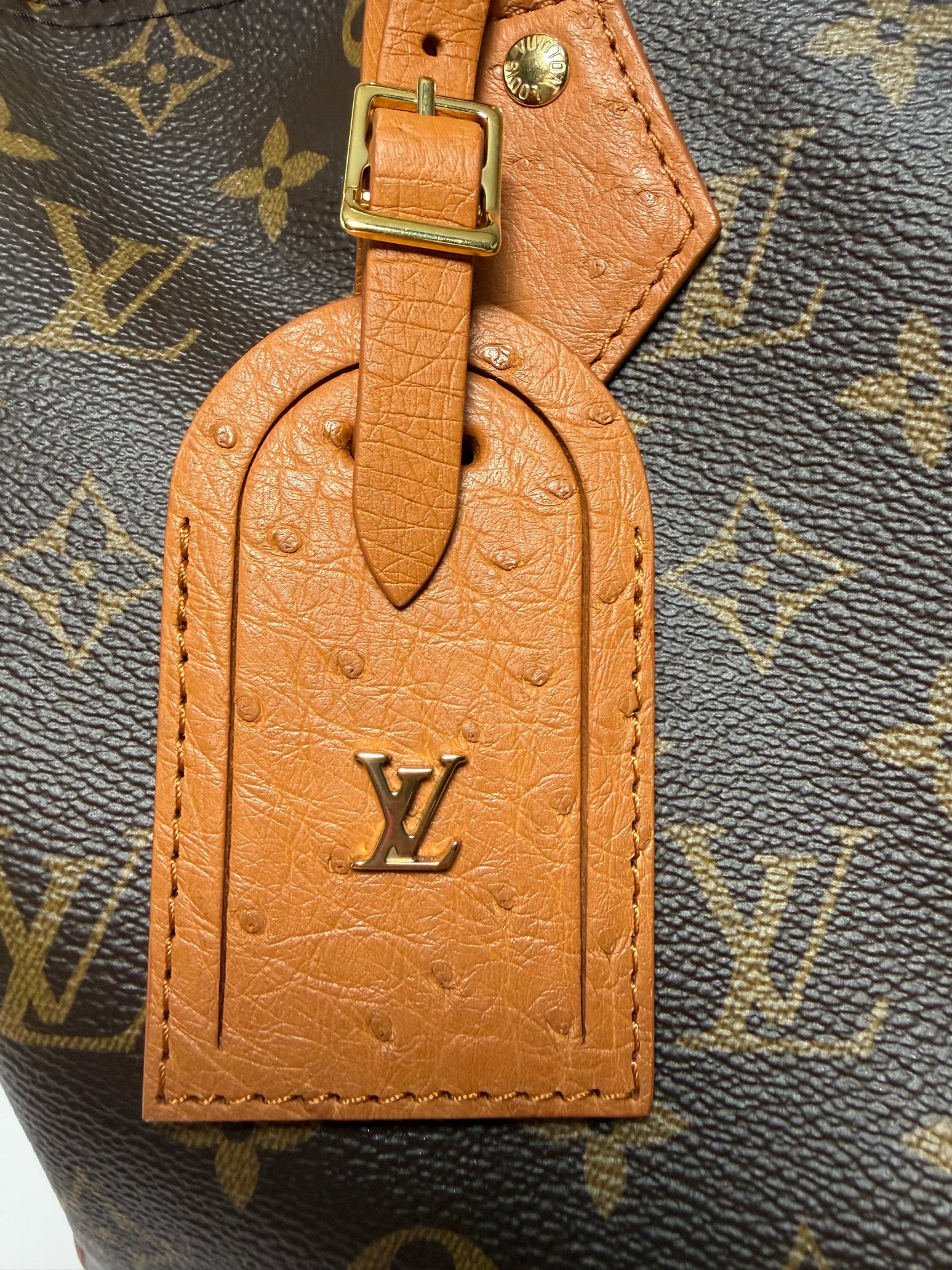 Louis Vuitton Speedy Soft 30 Boho w/Ostrich Leather
