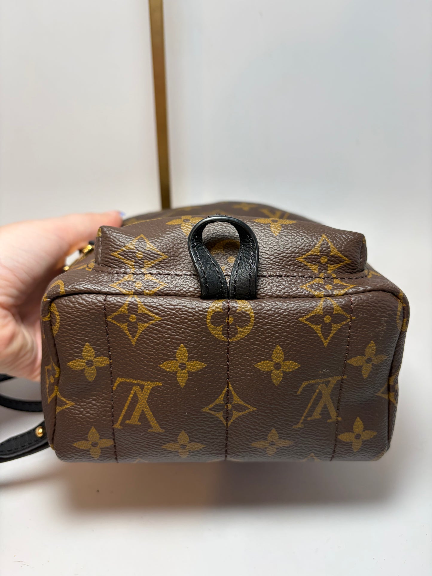 Louis Vuitton Palm Springs Mini Monogram Backpack & Crossbody w/COA