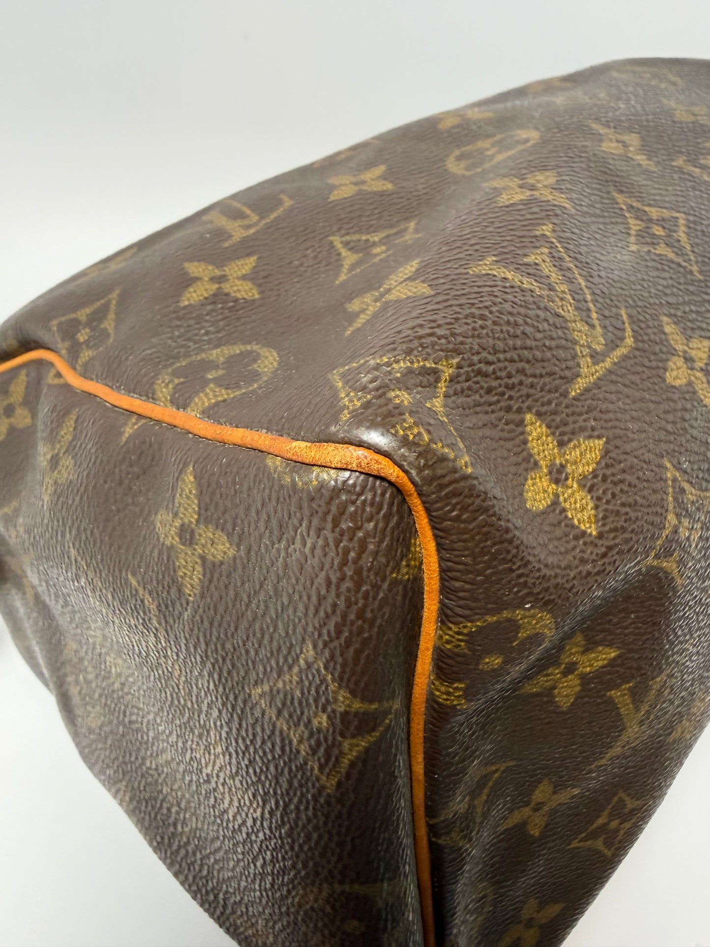 Louis Vuitton Speedy 25 Monogram