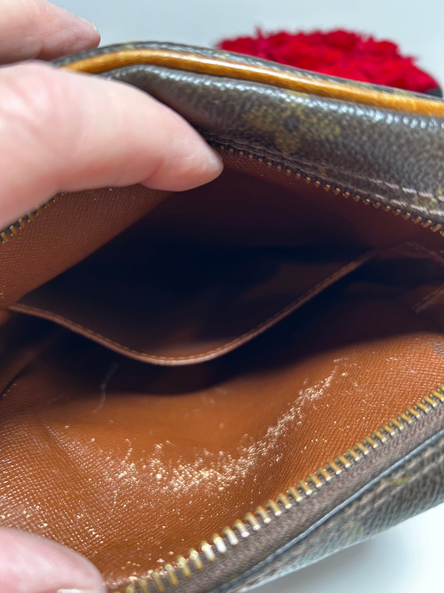 Louis Vuitton Amazon Monogram Crossbody