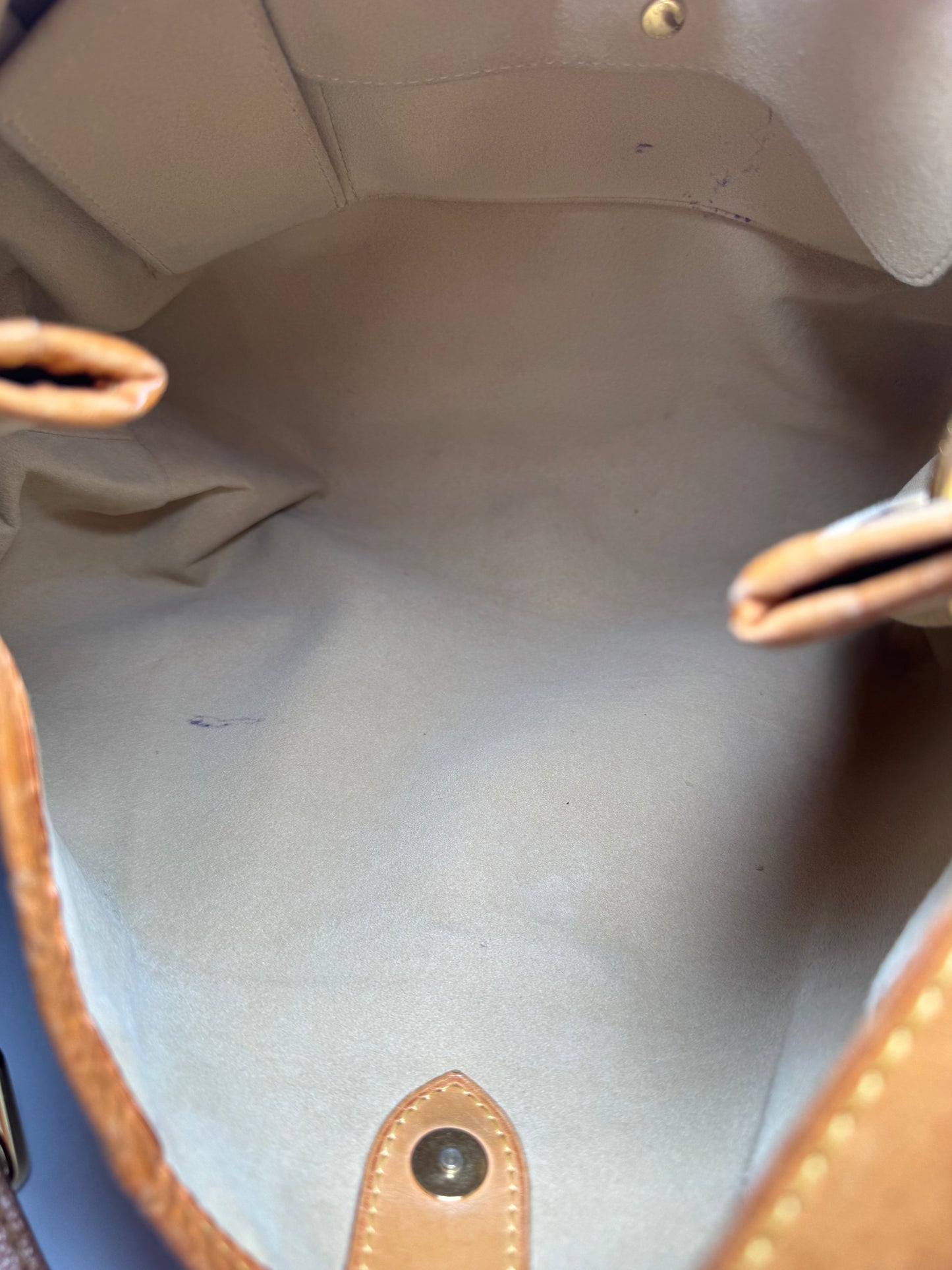 Louis Vuitton Galleria PM Monogram Shoulder Bag
