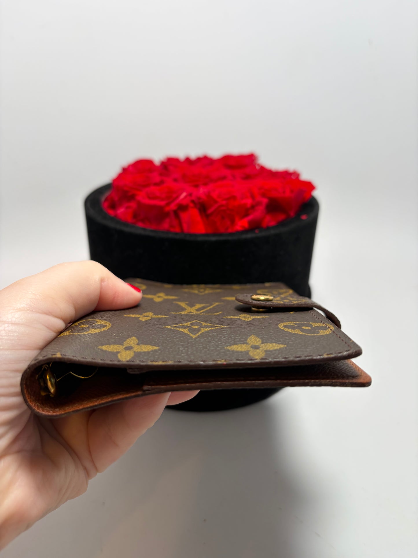 Louis Vuitton Agenda PM Monogram/Passport Holder