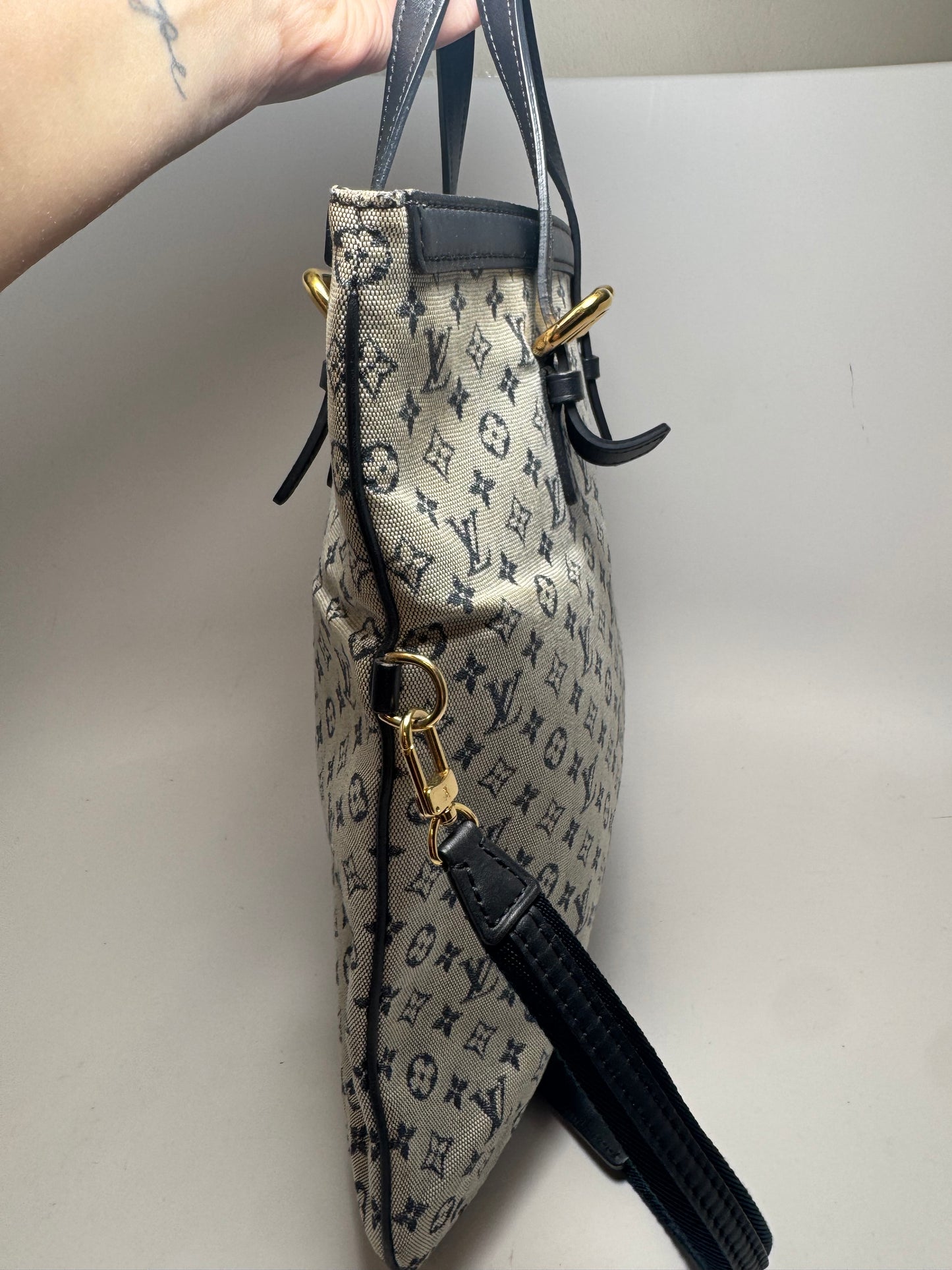 Louis Vuitton Mini Lin Francois Monogram Tote/Shoulder Bag