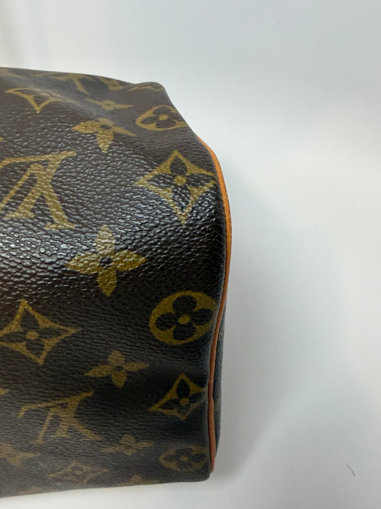 Louis Vuitton Speedy 25 Monogram