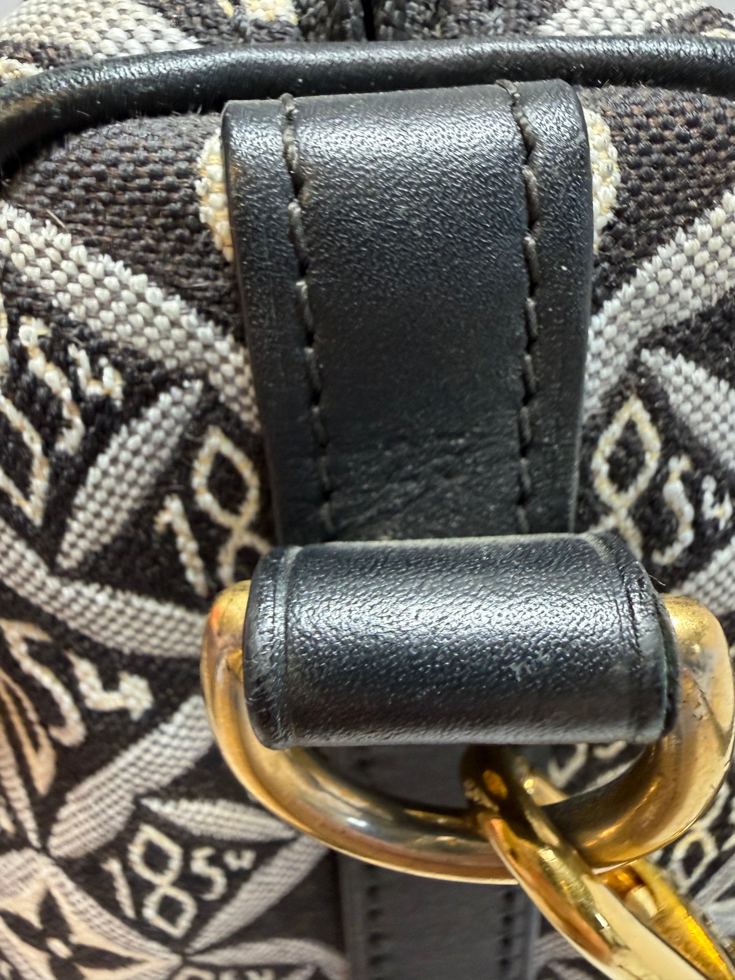 Louis Vuitton Speedy 25 Bandoulière 1854 Monogram Jacquard