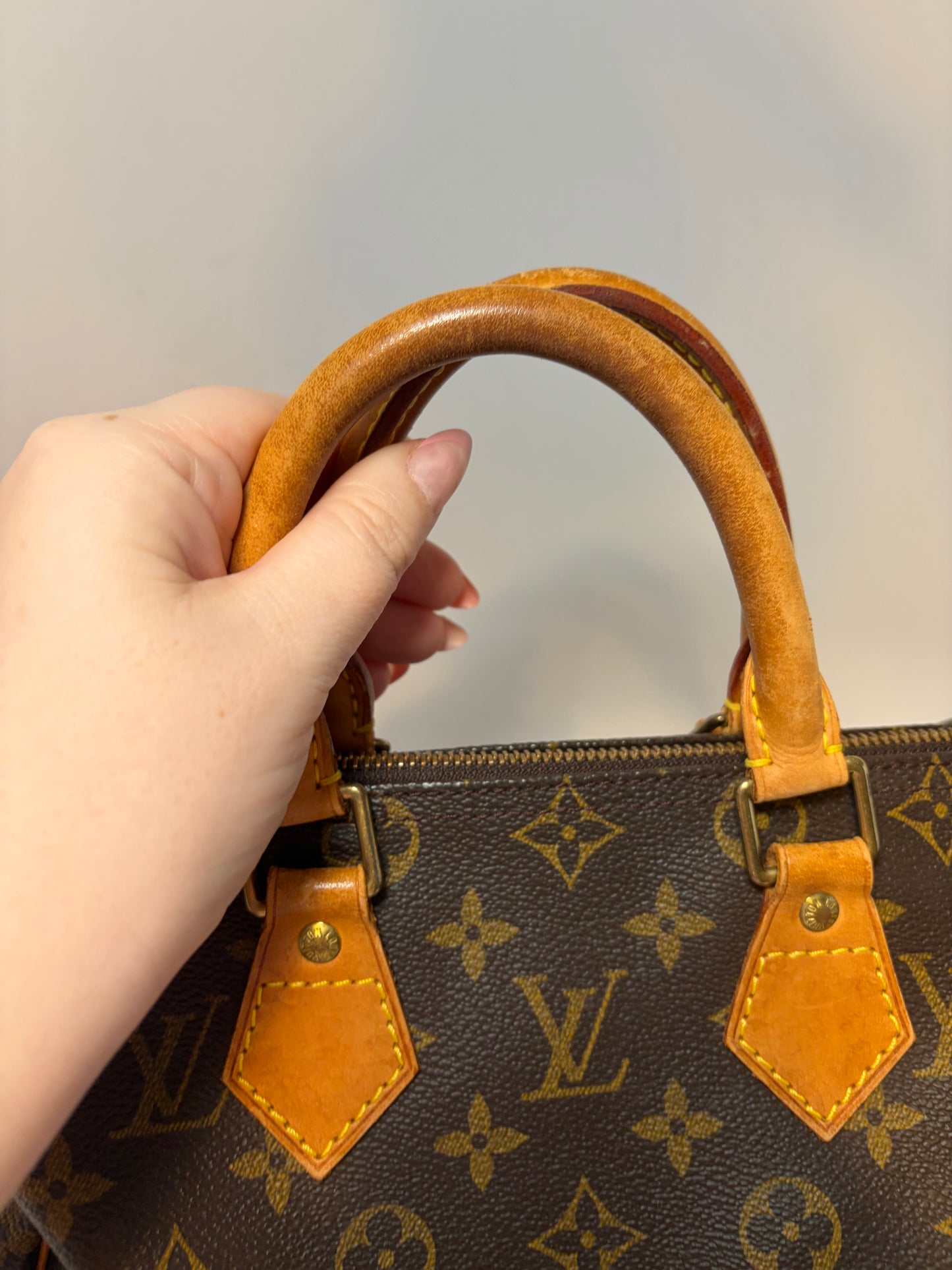 Louis Vuitton Speedy 25 Monogram