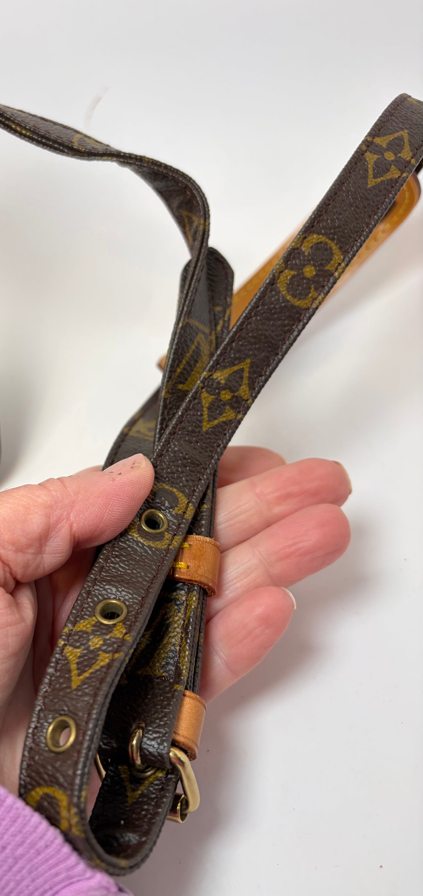 Louis Vuitton Amazon Crossbody Monogram